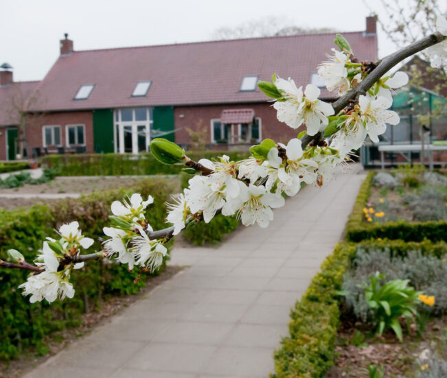 Werkleerboerderij PSW Genegenterhof